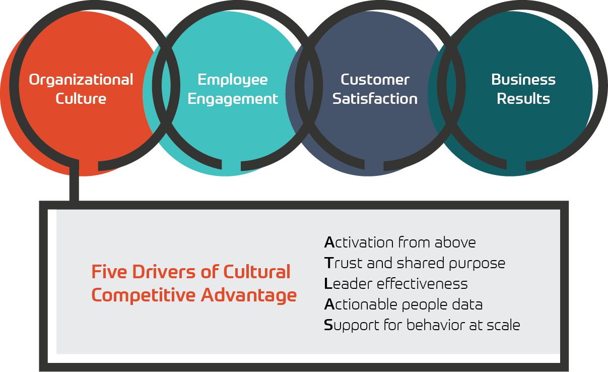 ADVISA strategic relationship of culture to results