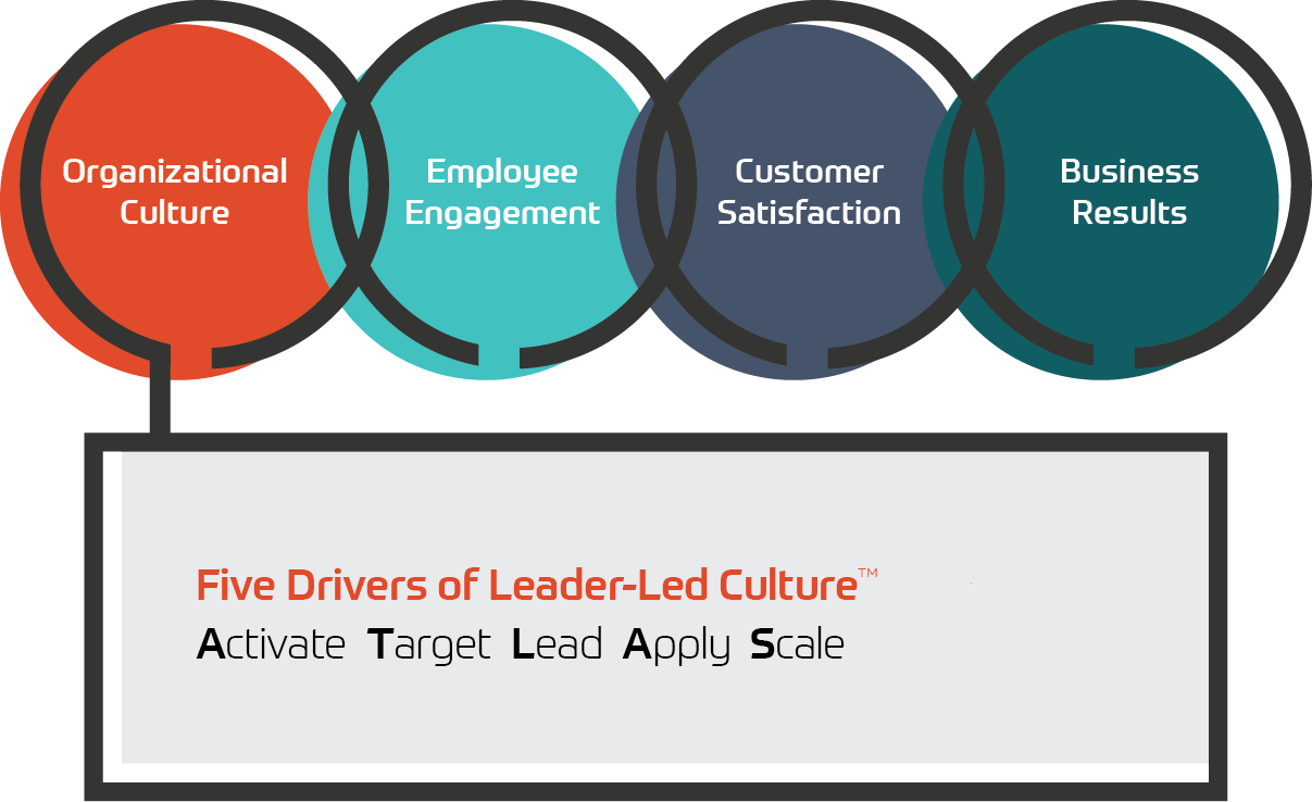 Strategic Relationship of Culture and Results - from ADVISA